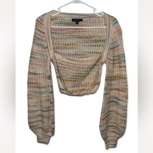 BlueBlush Multicolor Knit Crop Sweater
